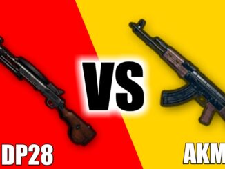 DP28 vs AKM